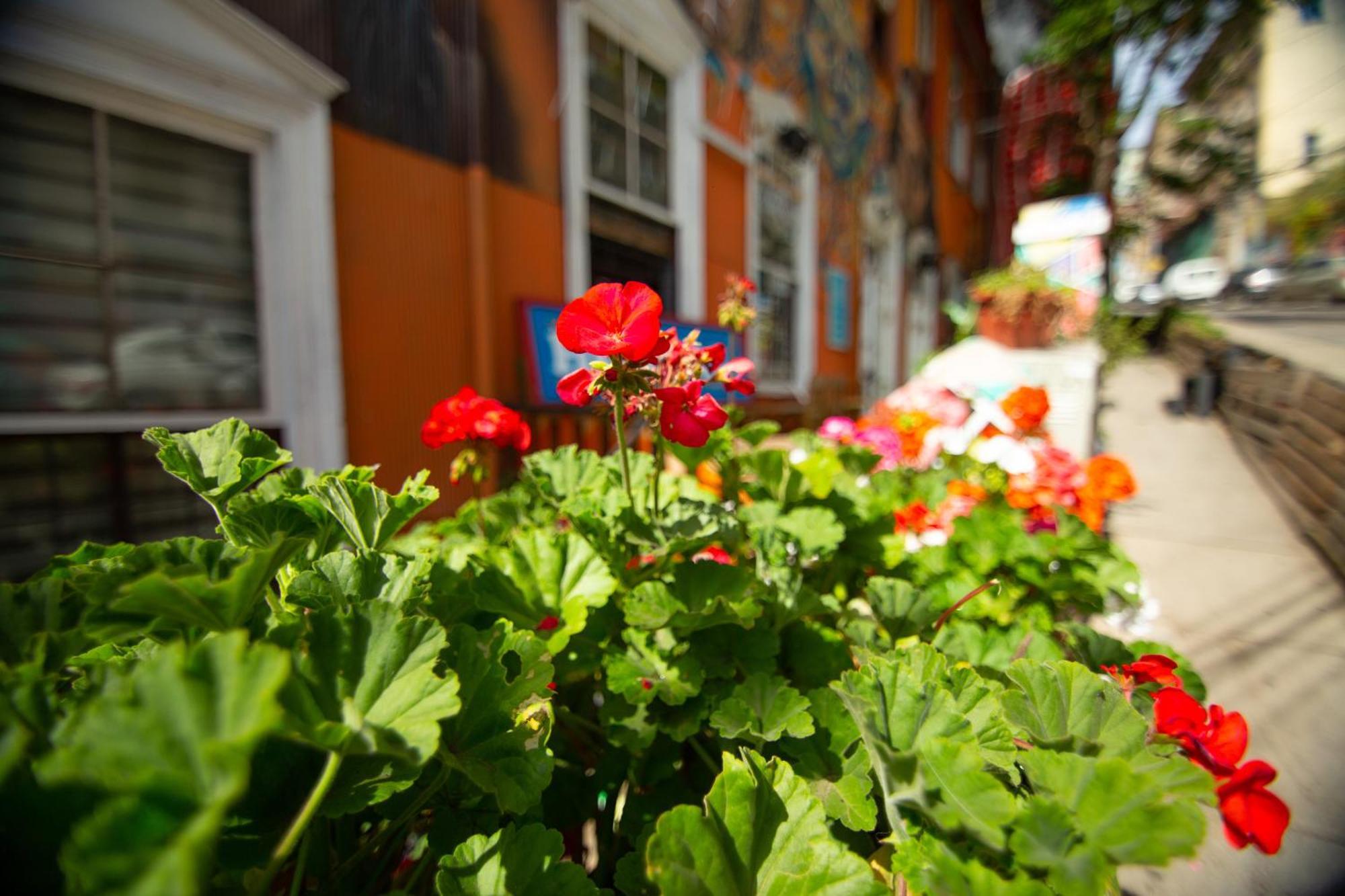 Hostal La Casa Del Puerto Valparaíso Exterior foto